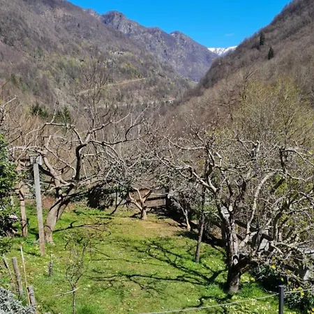 Respiro Di Montagna By Maggiore * Vigino